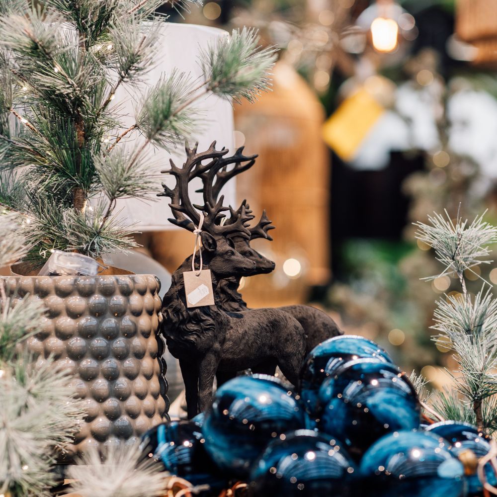 Untitled design (25)