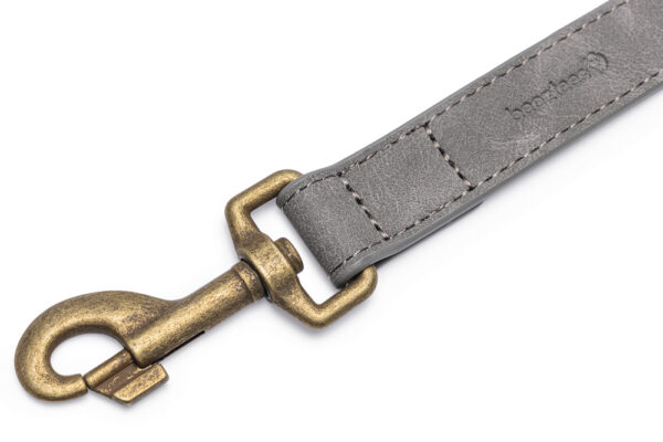 Jalutusrihm Beeztees AX 100x2,5cm hall