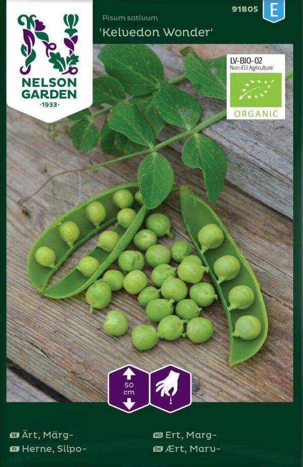 Hernes 'Kelvedon Wonder' (mahe)