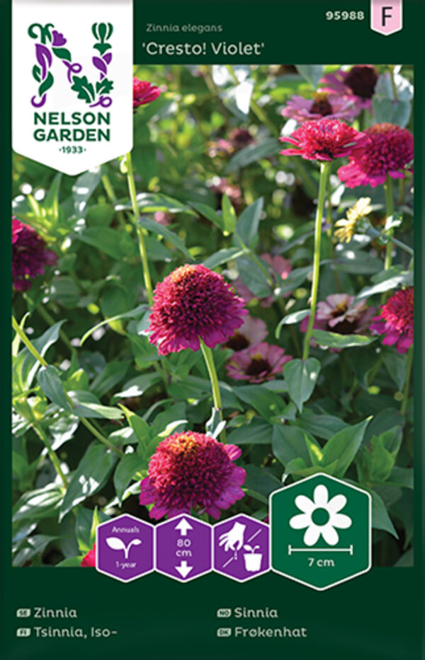 Seeme Tsinnia 'Cresto'