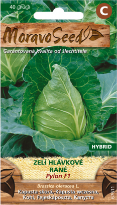 Valge peakapsas ‘Pylon F1’ 40s