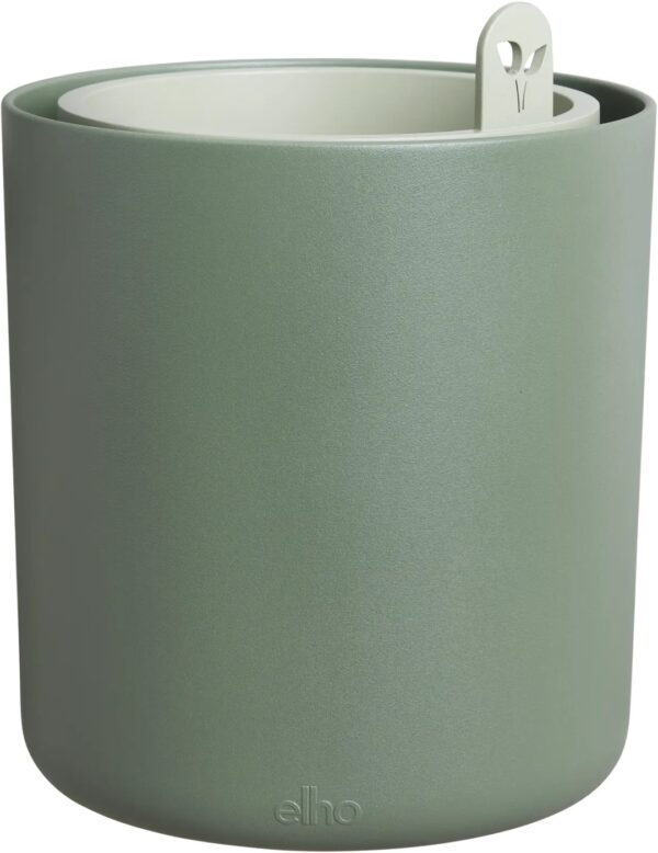 Maitsetaimepott Bouncy Basil Ø16,5cm roheline