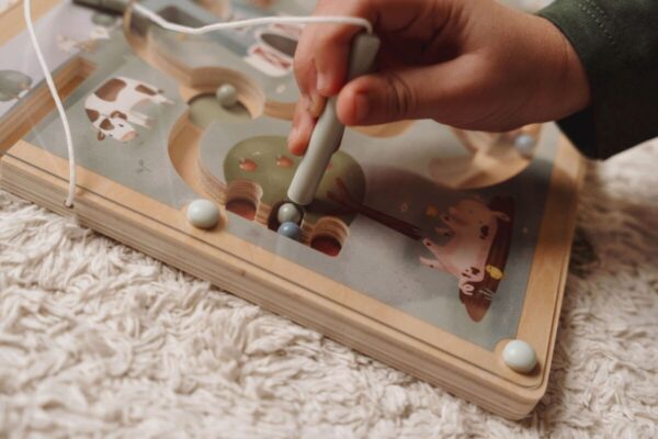 Little Dutch magnet labürint Little Farm FSC