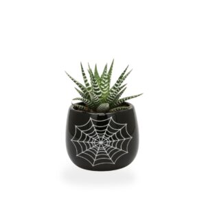 Havortia P5,5 ümbrispotis Halloween