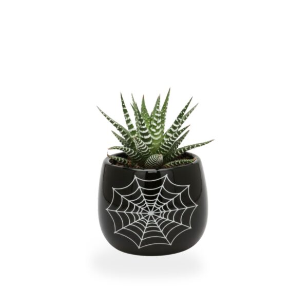 Havortia P5,5 ümbrispotis Halloween