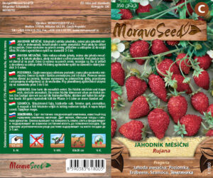 Kuumaasikas ‘Rujana’