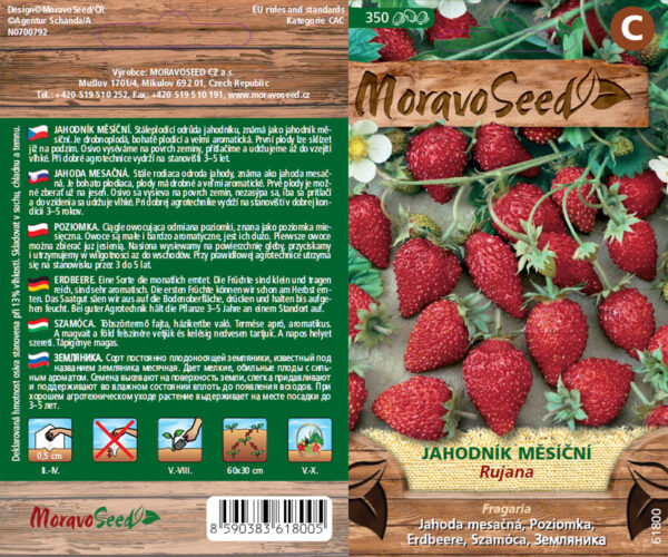 Kuumaasikas 'Rujana'