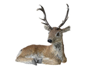 Lamav hirv pruun 15x24x h24cm