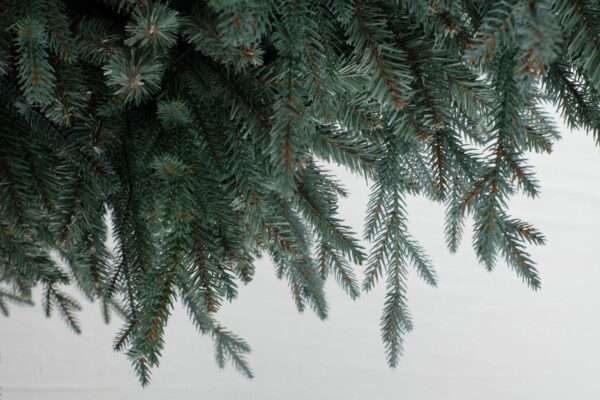 Kunstkuusk Arkansas roheline härmatisega 152cm