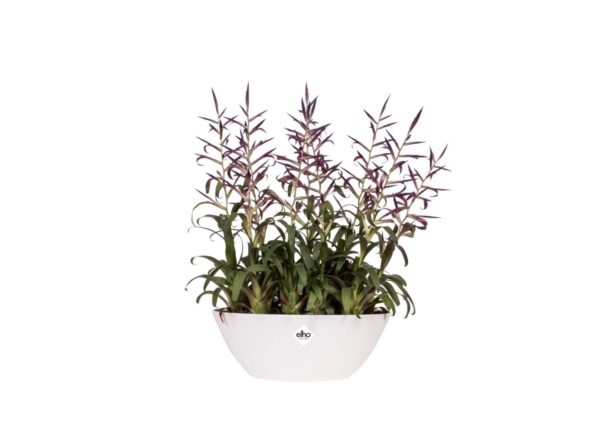 Lillepott Brussels ovaal 36x16x h13cm valge