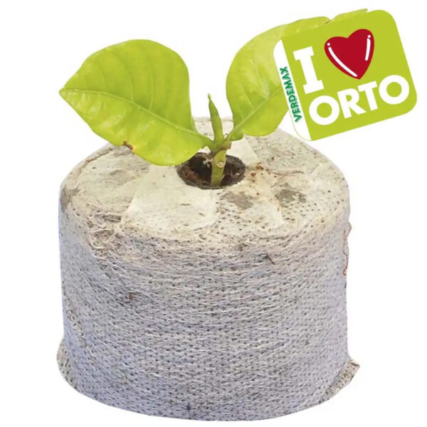 Kookostabletid kangaga Ø45x H10mm 12tk