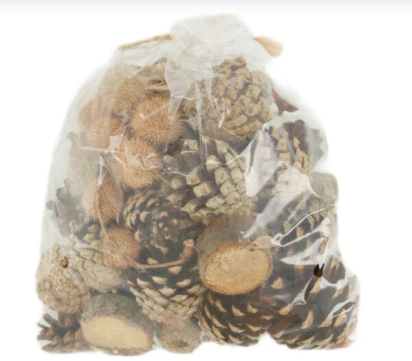 Männikäbide mix 250g