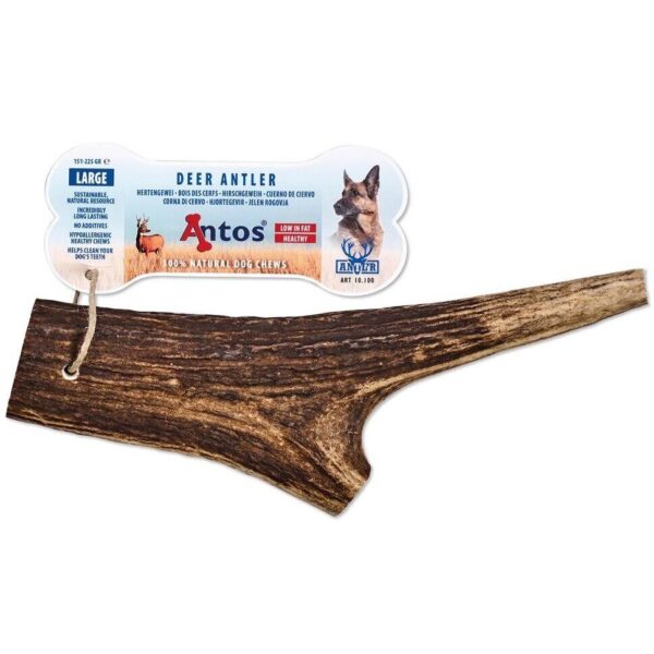 Maiustus Antos hirvesarv L 151-225g