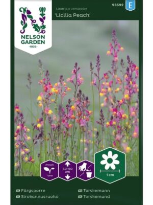 Käokannus ‘Licilia Peach’