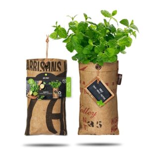 Münt riputatavas kasvatuskotis