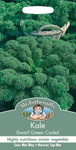 Lehtkapsas ‘Dwarf Green Curled’ 400s