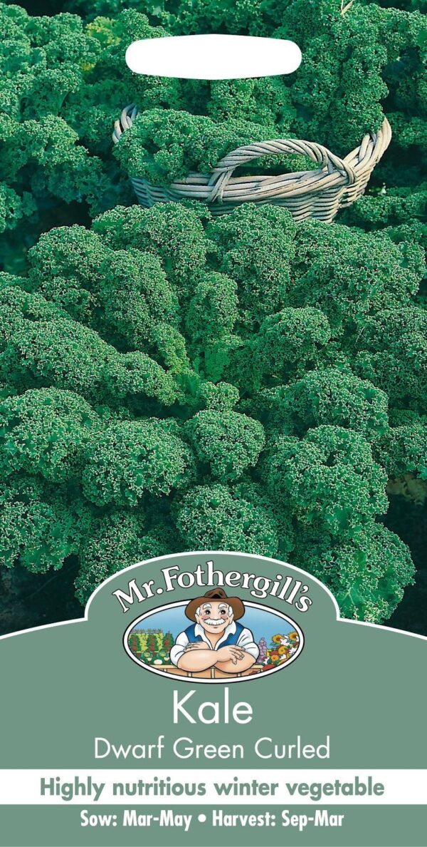 Lehtkapsas 'Dwarf Green Curled' 400s