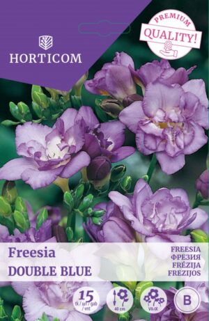 Freesia ‘Double Blue’ 15tk H