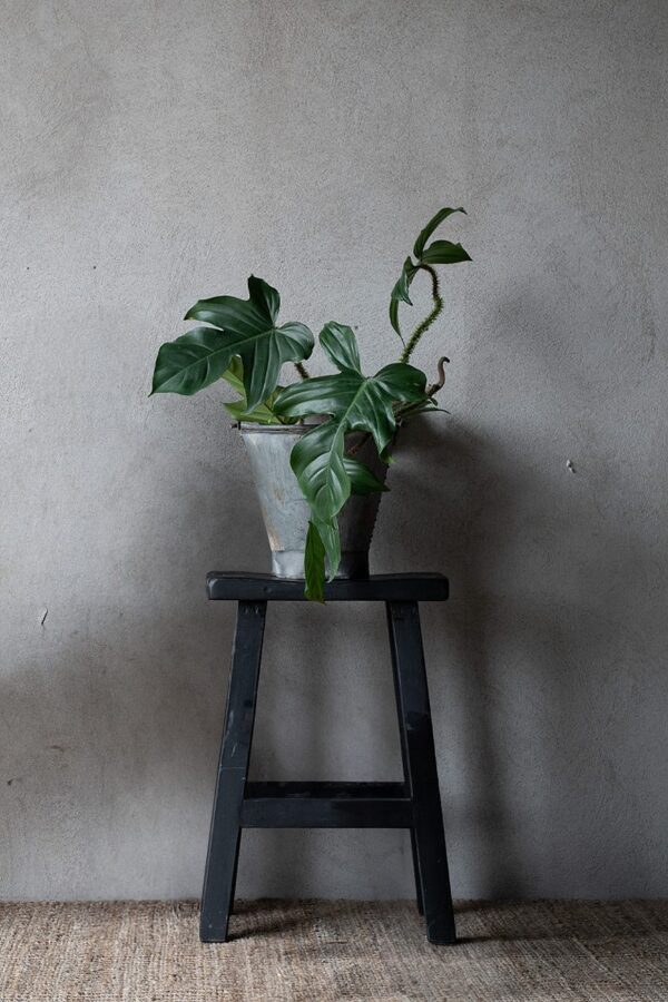 Taburet Kaida must 30x35x h64cm