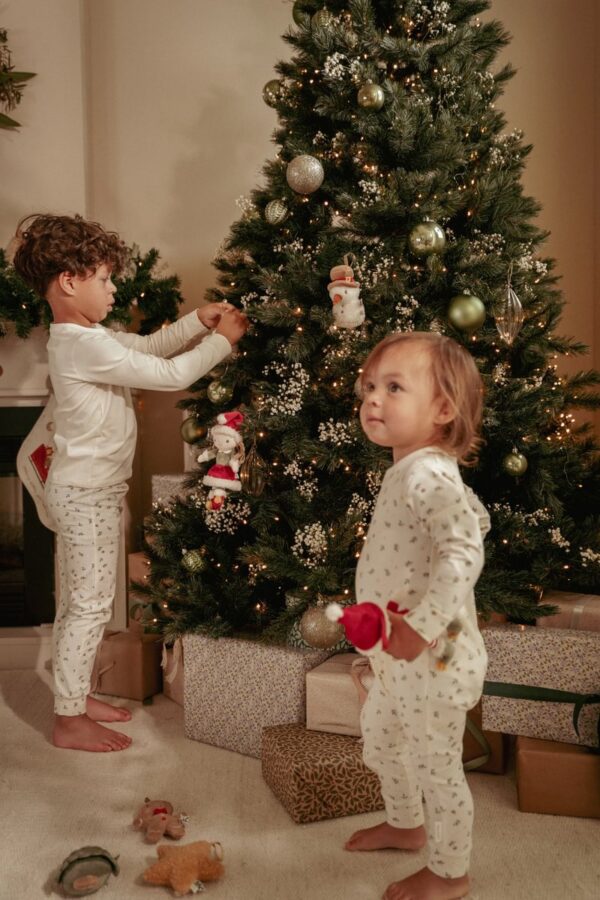 Little Dutch jõuluehted Rosa