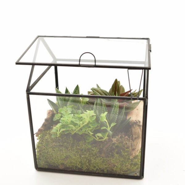 Terraariumiseade minikasvuhoones 17x14x20cm+LED