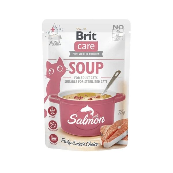 Kassi märgtoit supp lõhega 75g