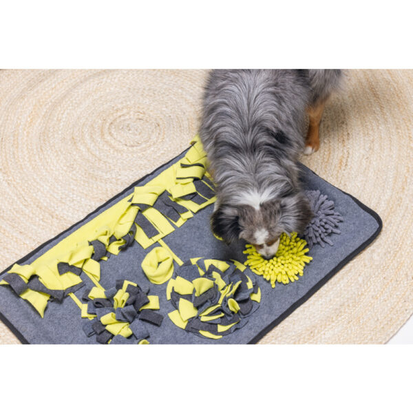 Nuusikimismatt Flora hall 70x45x h7cm