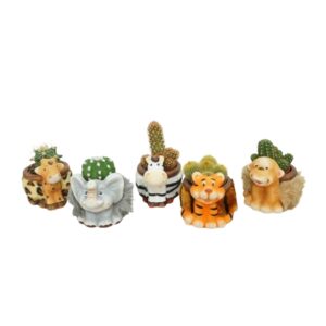 Kaktus P5,5 loomakujulises ümbrispotis