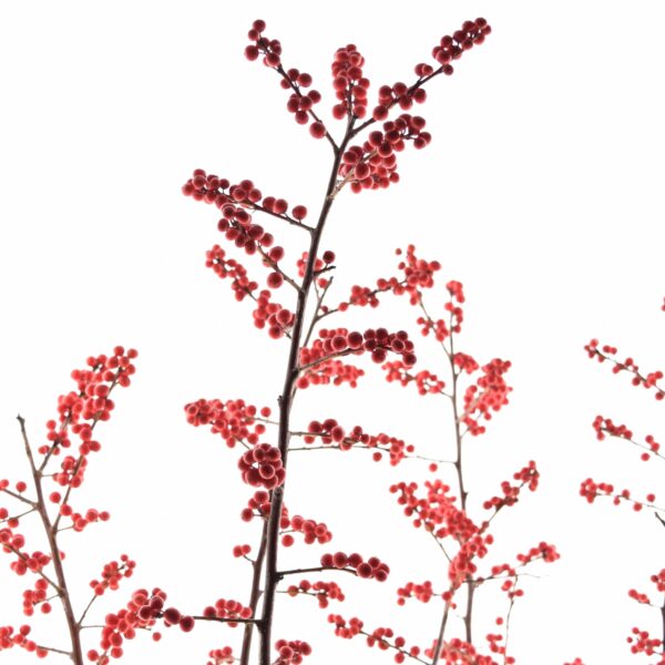 Männas-iileks P23 85cm