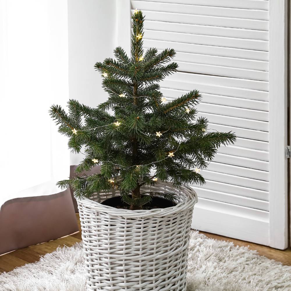 Untitled design (27)