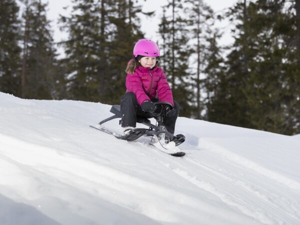 Roolikelk Stiga Iconic grafiithall/must