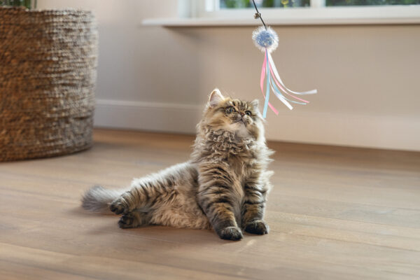 Mänguasi kassile õng palli ja lindiga 47cm värvivalik 1tk