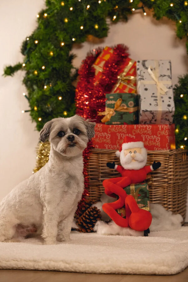 Mänguasi koerale jõuluvana spiraal punane 32,5cm