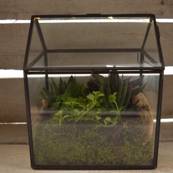 Terraariumiseade minikasvuhoones 17x14x20cm+LED