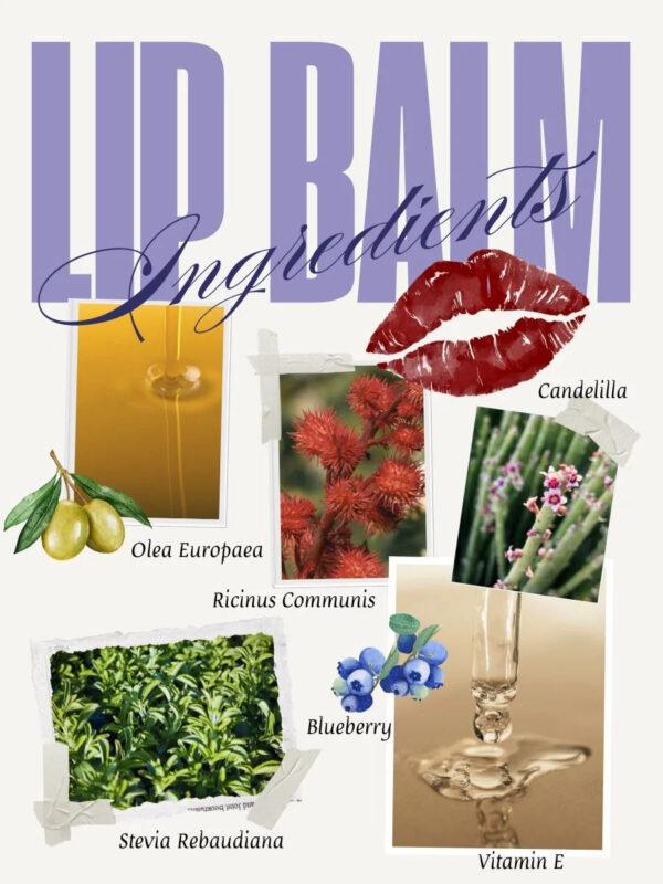 Tooniv huulepalsam mustikaga 10ml