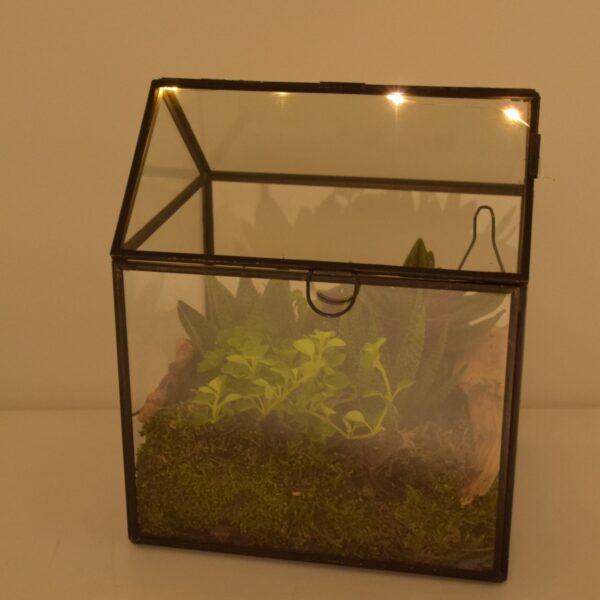 Terraariumiseade minikasvuhoones 17x14x20cm+LED