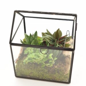 Terraariumiseade minikasvuhoones 17x14x20cm+LED