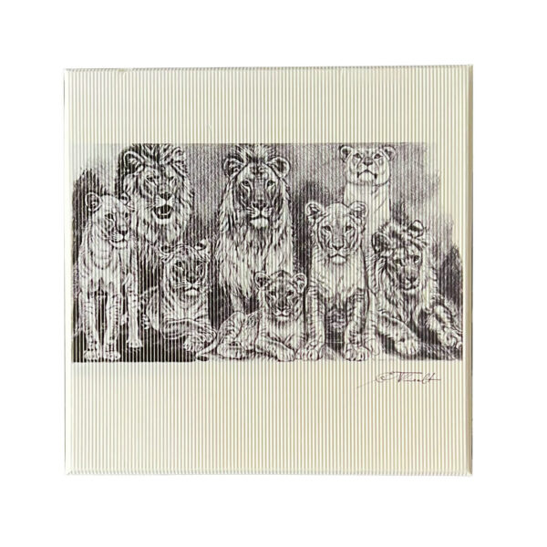 Chocolala 16 kommiga E. Wiiralti maaliga karp