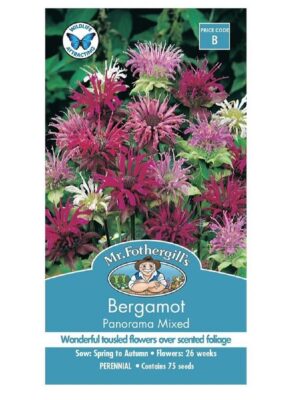 Aedmonarda segu ‘Panorama’ 75s