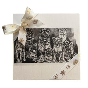 Chocolala 16 kommiga E. Wiiralti maaliga karp