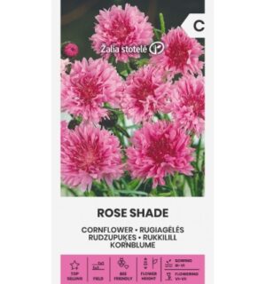 Rukkilill ‘Rose Shade’