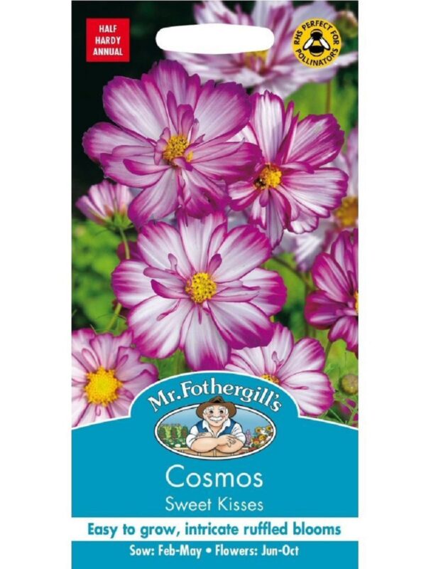 Kosmos 'Sweet Kisses' 30s