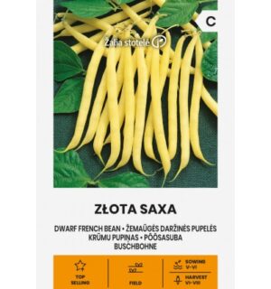 Spargeluba ‘Zlota Saxa’