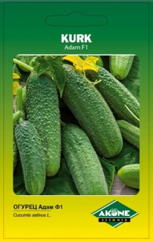 Kurk ‘Adam’ 10tk