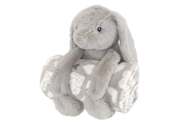 Pleed ja mänguasi 75x100cm