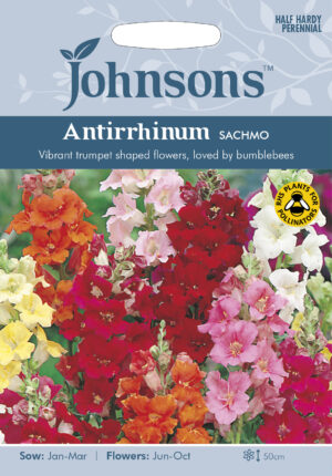 Lõvilõug ‘Sachmo’ 750s