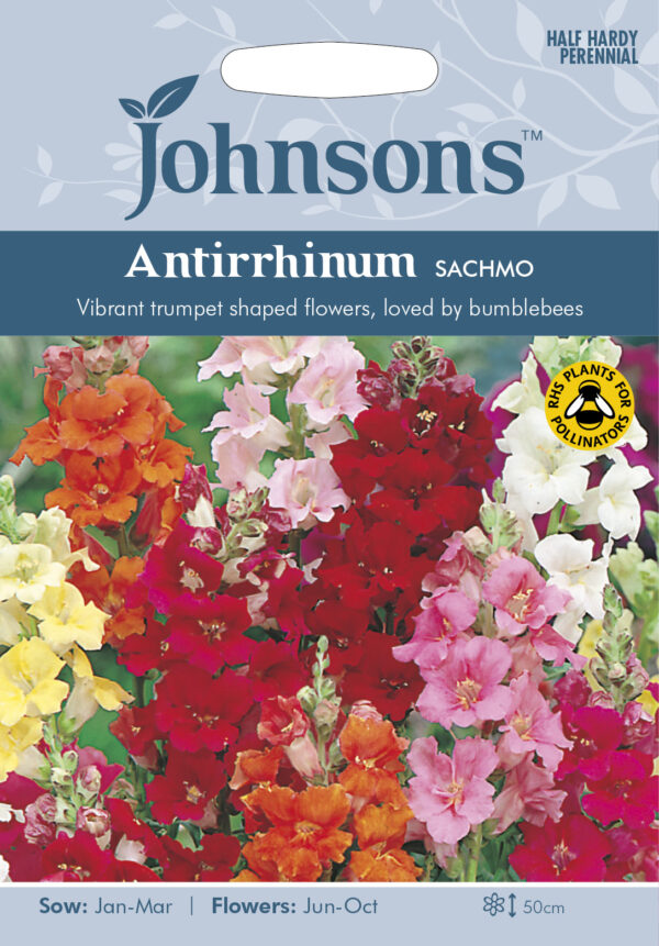 Lõvilõug 'Sachmo' 750s