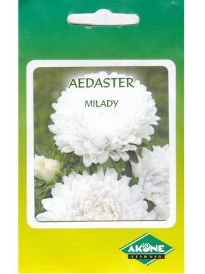 Aster ‘Mileedi’ 0,5 g
