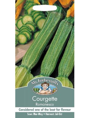 Suvikõrvits ‘Romanesco’ 25s