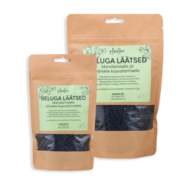 Beluga lääts idandamiseks 200g